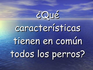¿Qué características tienen en común todos los perros? 