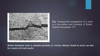 Fig. Transgranular propagation of a crack
in a low-carbon steel (courtesy of Knott).
Optical micrograph,×275
Brittle inclusions such as alumina particles or various silicates found in steels can also
be a source of crack nuclei.
 