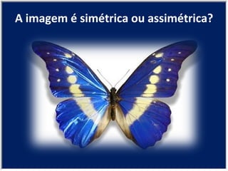 A imagem é simétrica ou assimétrica? 