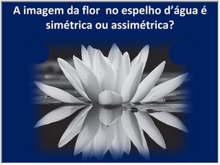A imagem da flor  no espelho d’água é simétrica ou assimétrica? 