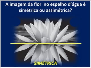 SIMÉTRICA A imagem da flor  no espelho d’água é simétrica ou assimétrica? 
