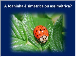 A Joaninha é simétrica ou assimétrica? 