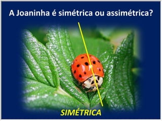 SIMÉTRICA A Joaninha é simétrica ou assimétrica? 