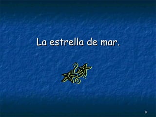 La estrella de mar. 