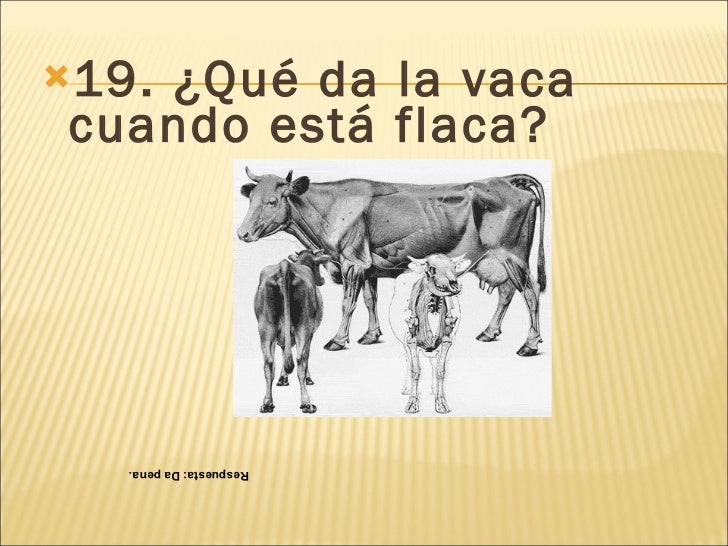 Acertijos para niños