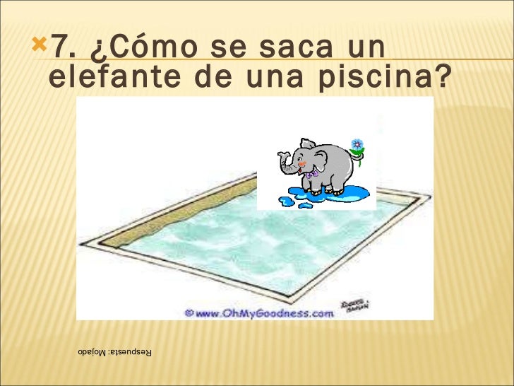 Acertijos para niños