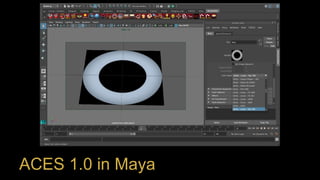 ACES 1.0 in Maya
 