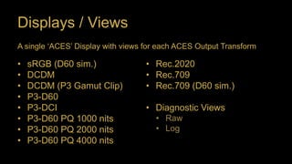 Displays / Views
• sRGB (D60 sim.)
• DCDM
• DCDM (P3 Gamut Clip)
• P3-D60
• P3-DCI
• P3-D60 PQ 1000 nits
• P3-D60 PQ 2000 nits
• P3-D60 PQ 4000 nits
• Rec.2020
• Rec.709
• Rec.709 (D60 sim.)
• Diagnostic Views
• Raw
• Log
A single ‘ACES’ Display with views for each ACES Output Transform
 