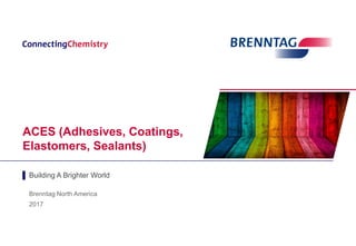 ACES (Adhesives, Coatings,
Elastomers, Sealants)
▌ Building A Brighter World
Brenntag North America
2017
 