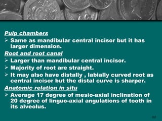 Pulp chambers
 Same as mandibular central incisor but it has
  larger dimension.
Root and root canal
 Larger than mandibular central incisor.
 Majority of root are straight.
 It may also have distally , labially curved root as
  central incisor but the distal curve is sharper.
Anatomic relation in situ
 Average 17 degree of mesio-axial inclination of
  20 degree of linguo-axial angulations of tooth in
  its alveolus.
                                                    103
 