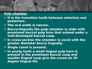 Pulp chamber
 It is the transition tooth between anteriors and
  posteriors.
 The m-d width is narrow.
 Bucco-lingually the pulp chamber is wide with
  prominent buccal pulp horn that extend under a
  well-developed buccal cusp.
 In cross-section the chamber is ovoid with the
  greater diameter bucco lingually.
 Single canal is present.
 In young tooth a small lingual pulp horn is
  present in the prominent buccal cusp and
  smaller lingual cusp give the crown an 30
  degree lingual tilt.
                                                 112
 