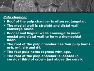 Pulp chamber
 Roof of the pulp chamber is often rectangular.
 The mesial wall is straight and distal wall
  converge round.
 Buccal and lingual walls converge to meet
  mesial and distal wall to form a rhomboidal
  floor.
 The roof of the pulp chamber has four pulp horns
  m-b, m-l, d-b and d-l.
 The four pulp horns regress with age.
 The roof of the pulp chamber is located in
  cervical third of crown just above the cervix

                                                122
 
