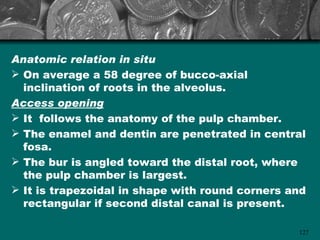 Anatomic relation in situ
 On average a 58 degree of bucco-axial
  inclination of roots in the alveolus.
Access opening
 It follows the anatomy of the pulp chamber.
 The enamel and dentin are penetrated in central
  fosa.
 The bur is angled toward the distal root, where
  the pulp chamber is largest.
 It is trapezoidal in shape with round corners and
  rectangular if second distal canal is present.

                                                 127
 