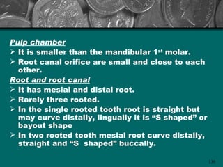 Pulp chamber
 It is smaller than the mandibular 1st molar.
 Root canal orifice are small and close to each
  other.
Root and root canal
 It has mesial and distal root.
 Rarely three rooted.
 In the single rooted tooth root is straight but
  may curve distally, lingually it is “S shaped” or
  bayout shape
 In two rooted tooth mesial root curve distally,
  straight and “S shaped” buccally.

                                                      130
 