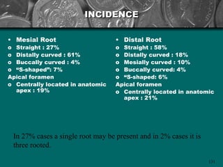 INCIDENCE

• Mesial Root                      • Distal Root
o Straight : 27%                   o Straight : 58%
o Distally curved : 61%            o Distally curved : 18%
o Buccally curved : 4%             o Mesially curved : 10%
o “S-shaped”: 7%                   o Buccally curved: 4%
Apical foramen                     o “S-shaped: 6%
o Centrally located in anatomic    Apical foramen
  apex : 19%                       o Centrally located in anatomic
                                     apex : 21%




 In 27% cases a single root may be present and in 2% cases it is
 three rooted.

                                                                   131
 