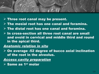  Three root canal may be present.
 The mesial root has one canal and foramina.
 The distal root has one canal and foramina.
 In cross-section all three root canal are small
  and ovoid in cervical and middle third and round
  in the apical third.
Anatomic relation in situ
 On average -52 degree of bucco axial inclination
  of the root in the alveolus.
Access cavity preparation
 Same as 1st molar

                                                133
 