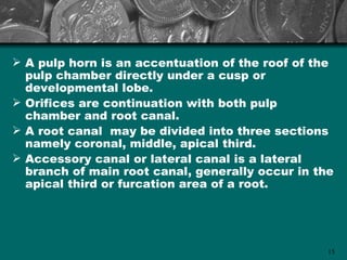  A pulp horn is an accentuation of the roof of the
  pulp chamber directly under a cusp or
  developmental lobe.
 Orifices are continuation with both pulp
  chamber and root canal.
 A root canal may be divided into three sections
  namely coronal, middle, apical third.
 Accessory canal or lateral canal is a lateral
  branch of main root canal, generally occur in the
  apical third or furcation area of a root.




                                                  15
 
