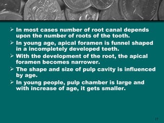  In most cases number of root canal depends
  upon the number of roots of the tooth.
 In young age, apical foramen is funnel shaped
  in a incompletely developed teeth.
 With the development of the root, the apical
  foramen becomes narrower.
 The shape and size of pulp cavity is influenced
  by age.
 In young people, pulp chamber is large and
  with increase of age, it gets smaller.




                                                17
 