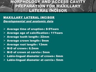 MORPHOLOGY AND ACCESS CAVITY
       PREPARATION FOR MAXILLARY
            LATERAL INCISOR
MAXILLARY LATERAL INCISOR
Developmental and anatomic data

   Average time of eruption-: 8-9Years
   Average age of calcification-: 11Years
   Average tooth length-: 22mm
   Average crown length-: 9mm
   Average root length-: 13mm
   M-D of crown-: 6.5mm
   M-D of crown at cervix-: 5mm
   Labio-lingual diameter of crown-: 6mm
   Labio-lingual diameter at cervix-: 5mm


                                             51
 