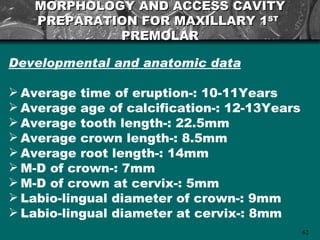MORPHOLOGY AND ACCESS CAVITY
   PREPARATION FOR MAXILLARY 1ST
            PREMOLAR

Developmental and anatomic data

 Average time of eruption-: 10-11Years
 Average age of calcification-: 12-13Years
 Average tooth length-: 22.5mm
 Average crown length-: 8.5mm
 Average root length-: 14mm
 M-D of crown-: 7mm
 M-D of crown at cervix-: 5mm
 Labio-lingual diameter of crown-: 9mm
 Labio-lingual diameter at cervix-: 8mm
                                              62
 