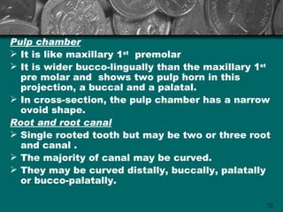 Pulp chamber
 It is like maxillary 1st premolar
 It is wider bucco-lingually than the maxillary 1st
  pre molar and shows two pulp horn in this
  projection, a buccal and a palatal.
 In cross-section, the pulp chamber has a narrow
  ovoid shape.
Root and root canal
 Single rooted tooth but may be two or three root
  and canal .
 The majority of canal may be curved.
 They may be curved distally, buccally, palatally
  or bucco-palatally.

                                                   72
 