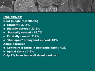 INCIDENCE
Root (single root 90.3%)
o Straight : 37.4%
o Distally curved : 33.9%
o Buccally curved : 15.7%
o Palatally curved: 2.4%
o “S-shaped” or bayonet curved: 13%
Apical foramen
o Centrally located in anatomic apex : 12%
o Apical delta : 3.2%
Only 2% have two well developed root.



                                             73
 