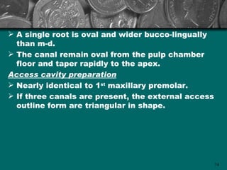  A single root is oval and wider bucco-lingually
  than m-d.
 The canal remain oval from the pulp chamber
  floor and taper rapidly to the apex.
Access cavity preparation
 Nearly identical to 1st maxillary premolar.
 If three canals are present, the external access
  outline form are triangular in shape.




                                                     74
 