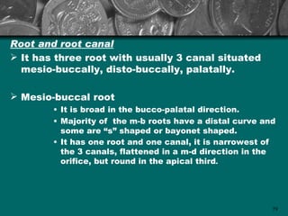 Root and root canal
 It has three root with usually 3 canal situated
  mesio-buccally, disto-buccally, palatally.

 Mesio-buccal root
        • It is broad in the bucco-palatal direction.
        • Majority of the m-b roots have a distal curve and
          some are “s” shaped or bayonet shaped.
        • It has one root and one canal, it is narrowest of
          the 3 canals, flattened in a m-d direction in the
          orifice, but round in the apical third.




                                                          79
 