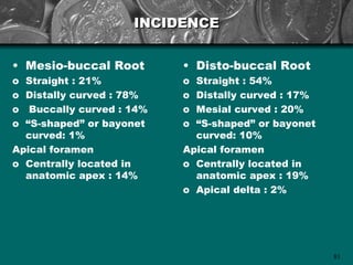 INCIDENCE


• Mesio-buccal Root       • Disto-buccal Root
o Straight : 21%          o Straight : 54%
o Distally curved : 78%   o Distally curved : 17%
o Buccally curved : 14%   o Mesial curved : 20%
o “S-shaped” or bayonet   o “S-shaped” or bayonet
  curved: 1%                curved: 10%
Apical foramen            Apical foramen
o Centrally located in    o Centrally located in
  anatomic apex : 14%       anatomic apex : 19%
                          o Apical delta : 2%




                                                    81
 