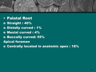 • Palatal Root
o Straight : 40%
o Distally curved : 1%
o Mesial curved : 4%
o Buccally curved: 55%
Apical foramen
o Centrally located in anatomic apex : 18%




                                             82
 