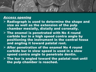 Access opening
 Radiograph is used to determine the shape and
  size as well as the extension of the pulp
  chamber mesially, distally and coronally.
 The enamel is penetrated with No 4 round
  carbide bur in a high speed contra angle by
  positioning the instrument in the central fossa
  and angling it toward palatal root.
 After penetration of the enamel No 4 round
  carbide bur in slow speed is used in a slow
  speed contra angle to penetrate dentin.
 The bur is angled toward the palatal root until
  the pulp chamber is reached.

                                                    83
 