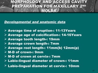MORPHOLOGY AND ACCESS CAVITY
     PREPARATION FOR MAXILLARY 2ND
                MOLAR

Developmental and anatomic data

   Average time of eruption-: 11-13Years
   Average age of calcification-: 14-16Years
   Average tooth length-: 19mm
   Average crown length-: 7mm
   Average root length-: 11mm(b) 12mm(p)
   M-D of crown-: 9mm
   M-D of crown at cervix-: 7mm
   Labio-lingual diameter of crown-: 11mm
   Labio-lingual diameter at cervix-: 10mm
                                                87
 