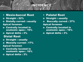 INCIDENCE

• Mesio-buccal Root           • Palatal Root
o Straight : 22%              o Straight : usually
o Distally curved : usually   o Buccally curved : 37%
Apical foramen                Apical foramen
o Centrally located in        o Centrally located in
  anatomic apex : 16%           anatomic apex : 16%
o Apical delta : 3%           o Apical delta : 3%
Distal Root
o Straight : usually
o Mesially curved : 17%
Apical foramen
o Centrally located in
  anatomic apex : 16%
o Apical delta : 3%

                                                        92
 