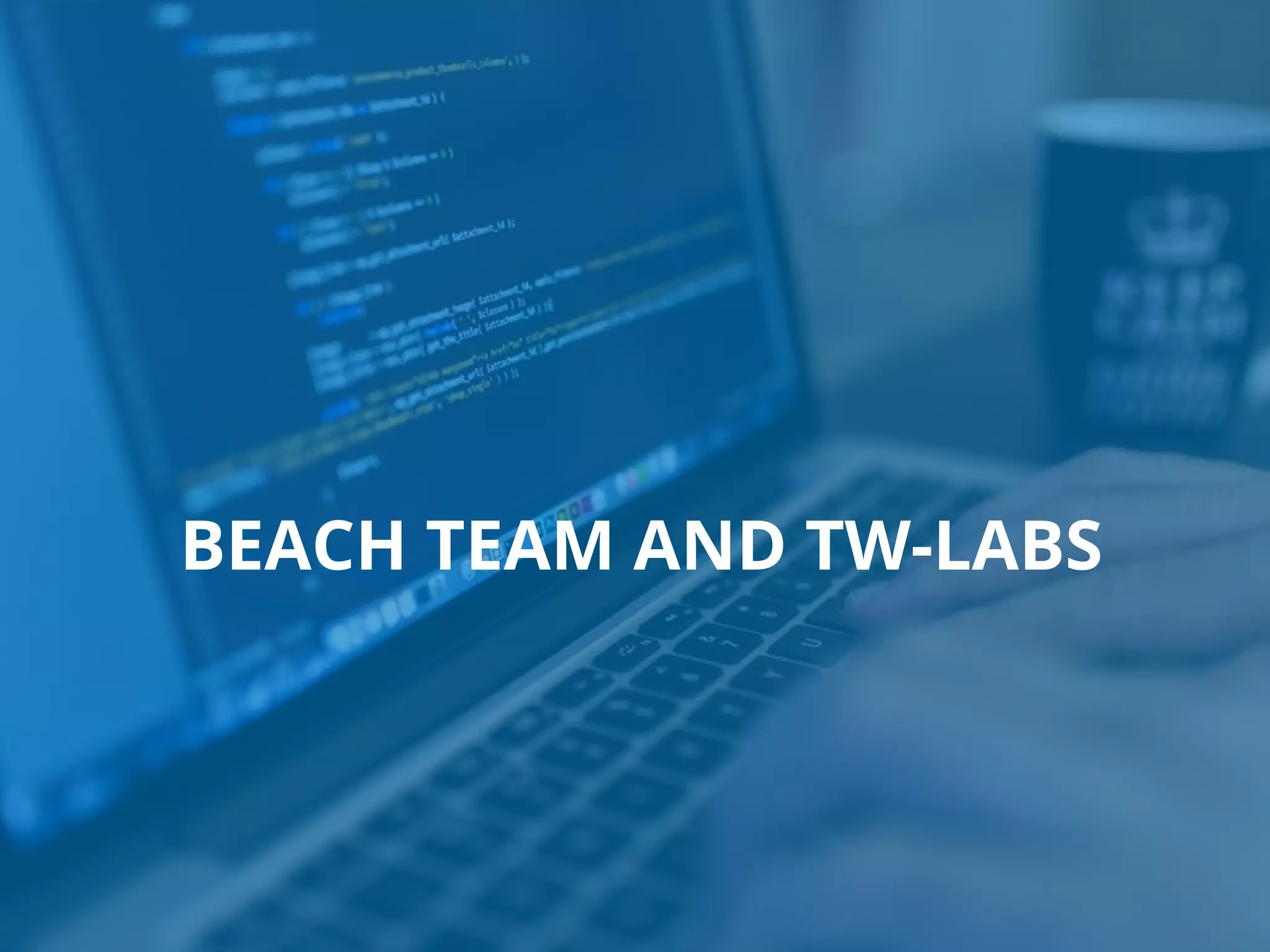 BEACH TEAM AND TW-LABS