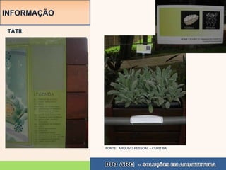 INFORMAÇÃO

 TÁTIL




             FONTE: ARQUIVO PESSOAL – CURITIBA
 