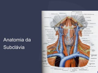 Anatomia da
Subclávia
 