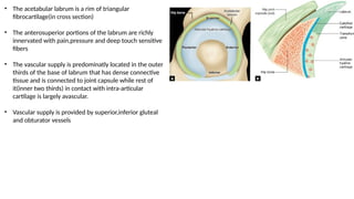 Acetabular Labral Tears: Anatomy, Diagnosis, and Management | PPTX