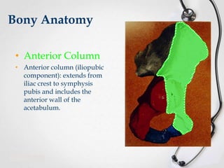Bony Anatomy
• Anterior Column
• Anterior column (iliopubic
component): extends from
iliac crest to symphysis
pubis and includes the
anterior wall of the
acetabulum.

 
