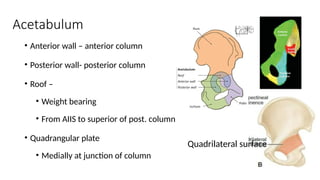 Comprehensive Classification and Surgical Approaches for Acetabular ...