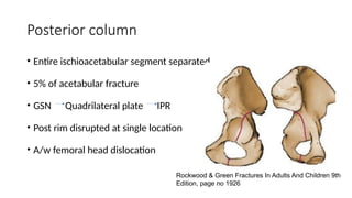 Comprehensive Classification and Surgical Approaches for Acetabular ...