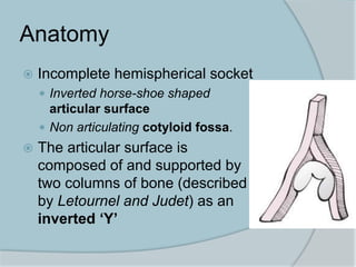 Anatomy
 Incomplete hemispherical socket
 Inverted horse-shoe shaped
articular surface
 Non articulating cotyloid fossa.
 The articular surface is
composed of and supported by
two columns of bone (described
by Letournel and Judet) as an
inverted ‘Y’
 