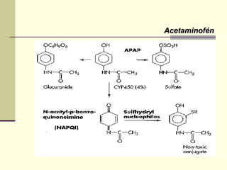 AcetaminofénAcetaminofén
 