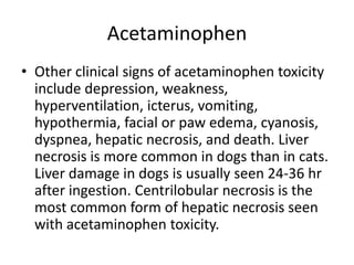 AcetaminophenOther clinical signs of acetaminophen toxicity include depression, weakness, hyperventilation, icterus, vomiting, hypothermia, facial or paw edema, cyanosis, dyspnea, hepatic necrosis, and death. Liver necrosis is more common in dogs than in cats. Liver damage in dogs is usually seen 24-36 hr after ingestion. Centrilobular necrosis is the most common form of hepatic necrosis seen with acetaminophen toxicity.