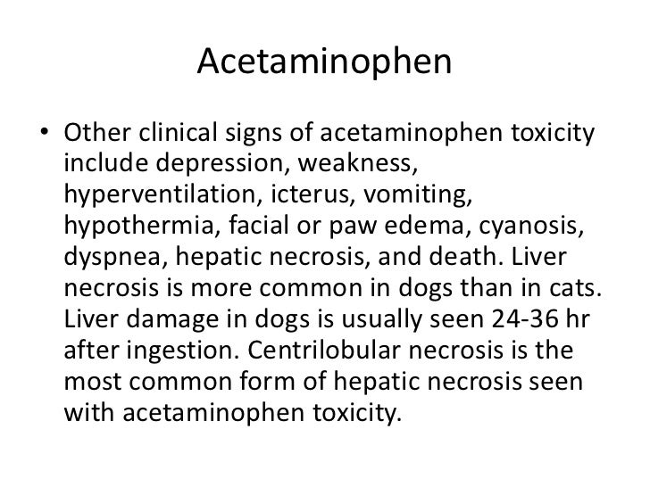 hypokalemia after acute acetaminophen overdose Acute liver failure hyperacute liver failure is usually from acetaminophen toxicity or viral infections hypokalemia, hypophosphatemia. hypokalemia after acute acetaminophen overdose Acute liver failure hyperacute liver failure is usually from acetaminophen toxicity or viral infections hypokalemia, hypophosphatemia.
