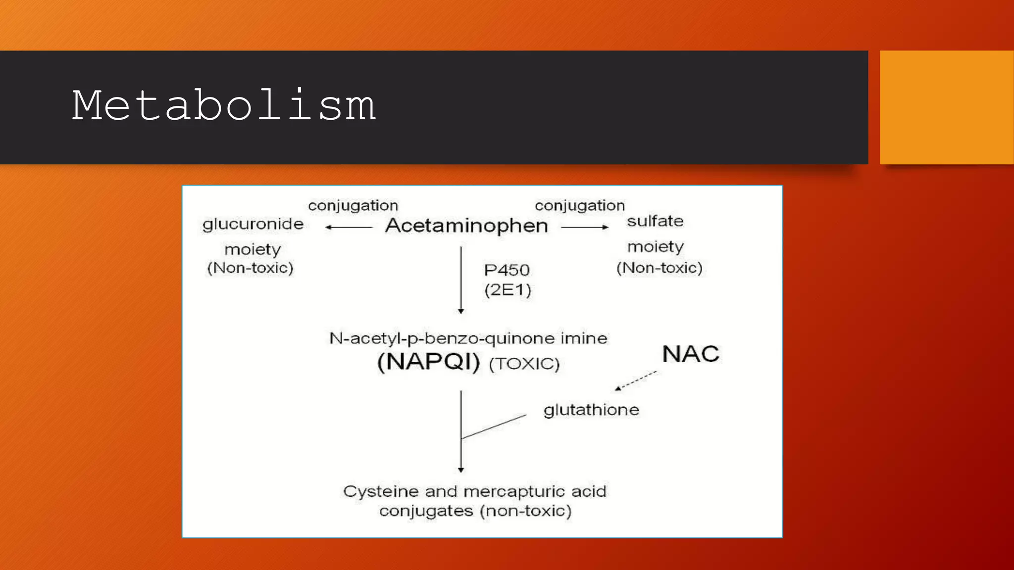 glutathione tylenol overdose The Metabolism of Acetaminophen and the Synthesis of Liver injury induced by paracetamol