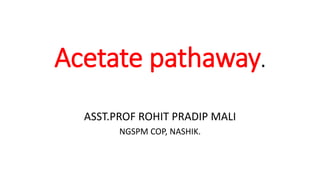 Acetate pathaway.
ASST.PROF ROHIT PRADIP MALI
NGSPM COP, NASHIK.
 