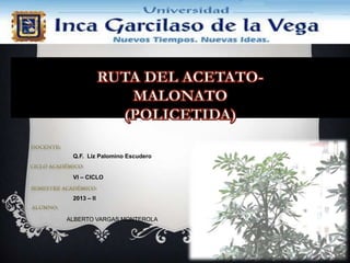 Q.F. Liz Palomino Escudero
VI – CICLO
2013 – II
ALBERTO VARGAS MONTEROLA
 