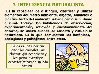 7.  INTELIGENCIA NATURALISTA Es la capacidad de distinguir, clasificar y utilizar elementos del medio ambiente, objetos, animales o plantas, tanto del ambiente urbano como suburbano o rural. Incluye las habilidades de observación, experimentación, reflexión y cuestionamiento del entorno, se utiliza cuando se observa y estudia la naturaleza. Es la que demuestran los botánicos,  ecologistas y paisajistas, entre otros.  Se da en los niños que aman los animales, las plantas; que reconocen y les gusta investigar características del mundo natural.  