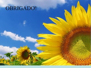 OBRIGADO!
 