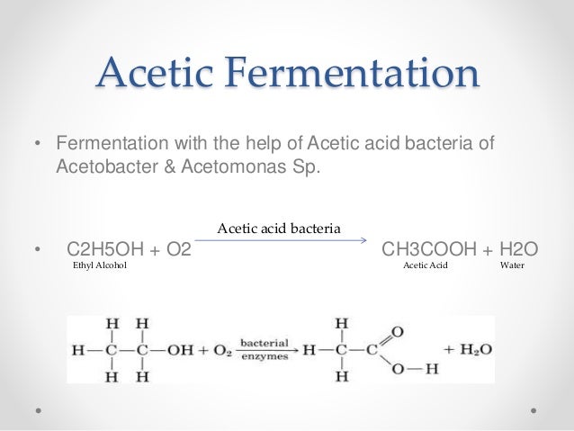 Acetic Fermentation acetic-fermentation